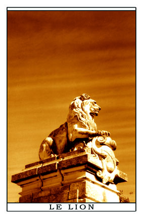 le lion